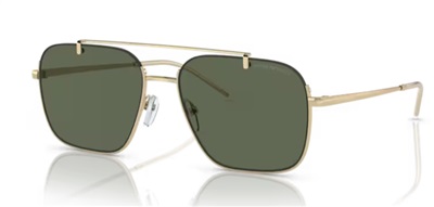 Emporio Armani EA2150 301371 Gold Sunglasses
