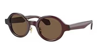 Giorgio Armani AR8205 606273 — коричневые солнцезащитные очки