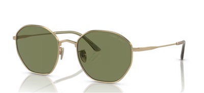 Giorgio Armani AR6150 30022A Gold Sunglasses