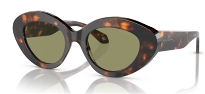 Giorgio Armani AR8188 599314 Brown Mineral Sunglasses