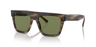 Солнцезащитные очки Giorgio Armani AR8177 54092A, коричневые