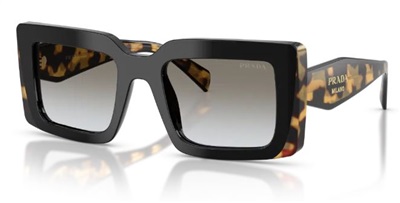 Prada D01S Sunglasses 0CD80L Brown/Black