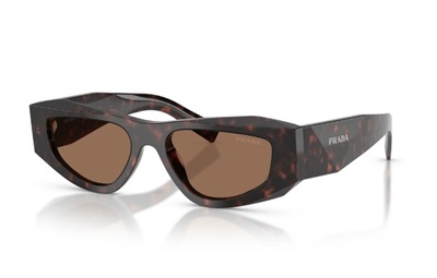 Prada B19S Sunglasses Dark Brown 17N06B