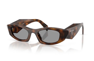 Prada B16S Sunglasses Dark Brown 20D50Q