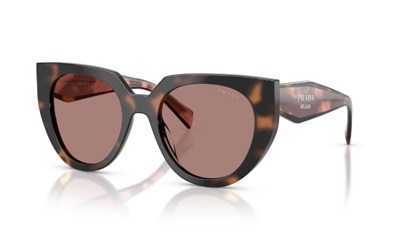 Prada PR14WS Brown Sunglasses 23A60B