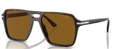 Prada PR20YS 16N0B0 Dark Brown Sunglasses