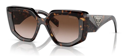 Prada PR14ZS Sunglasses, Brown 2AU6S1