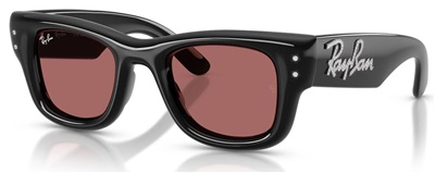 Ray-Ban RB4940B 686485 — чёрные солнцезащитные очки