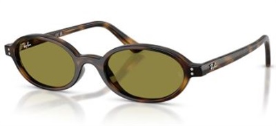 Ray-Ban RB4472 1359/2 Коричневые солнцезащитные очки CR39 Organic 1.5