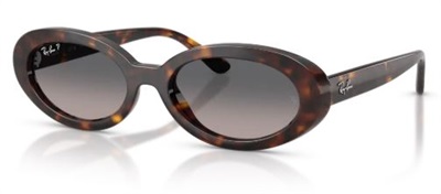 Ray-Ban RB2223 Güneş Gözlüğü Kahverengi 902/M3 Polarize