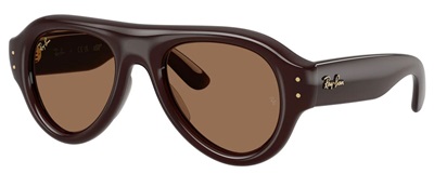 Ray-Ban RB4925 689673 Dark Brown Men's Sunglasses
