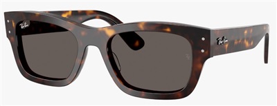 Ray-Ban RB7683S 902/B1 Dark Brown Men's Sunglasses