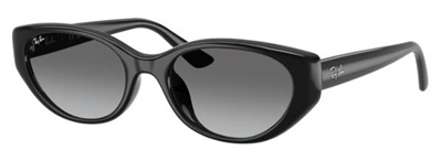 Ray-Ban RB4457D 667711 Black Men's Sunglasses