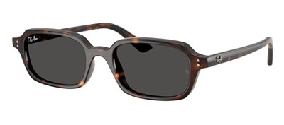 Ray-Ban RB4455 135987 Dark Brown Men's Sunglasses