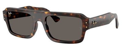 Ray-Ban RB4454 Dark Brown Mineral Sunglasses 1359B1