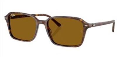 Ray-Ban RB2231 141833 Brown Mineral Sunglasses