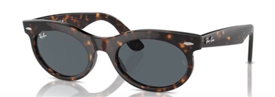 Ray-Ban RB2242 Men's Sunglasses, Brown 902/R5