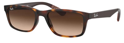 Ray-Ban RB4234 620513 Brown Sunglasses