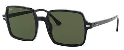 Ray-Ban RB1973 901/31 Black Sunglasses