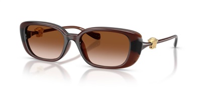 Versace VE4504D Sunglasses Brown 533213