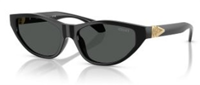 Versace VE4491U Sunglasses Black GB1/87