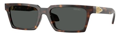 Versace VE4490U Sunglasses Dark Brown 108/87
