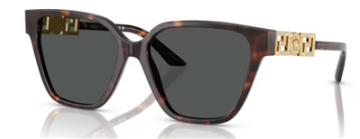 Versace VE4471B Brown Sunglasses 108/87
