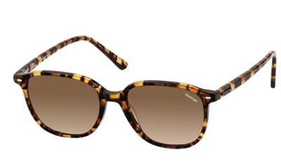 Slazenger SLZ6765 C2 Brown Sunglasses