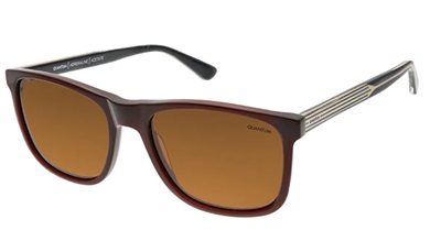 Quantum Q130 C3 Black Polarized Sunglasses