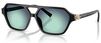 Tiffany&CO. TF4264U Black Sunglasses 80019S