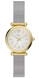Fossil FES5463 Silver Men's Watch