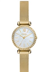 Fossil FBQ3898 Gold Men's Watch