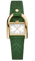 Fossil FES5267 Green Men's Watch