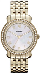 Fossil FES3113 Yellow Men's Watch