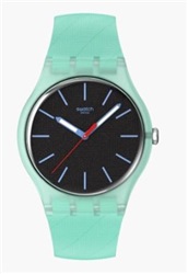 Swatch Hint OF Mint SO29L103 Green Watch