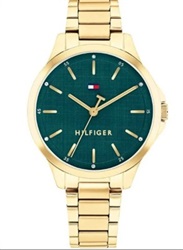 Tommy Hilfiger Chloe TH1782860 Gold Men's Watch