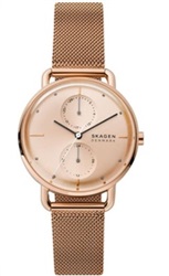 Skagen SKW2931 мужские часы Rose Gold