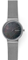 Мужские часы Skagen SKW2832