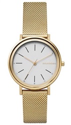 Skagen SKW2509 Gold Men's Watch