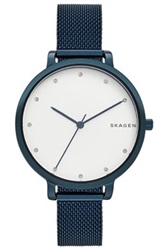 Мужские часы Skagen SKW2579, синие