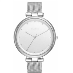Skagen SKW2485, серебристые мужские часы