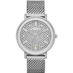 Skagen SKW2446, серебристые мужские наручные часы