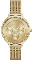 Skagen SKW2313 Gold Men's Watch