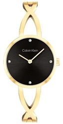 Calvin Klein CK25100059 Gold Men's Watch