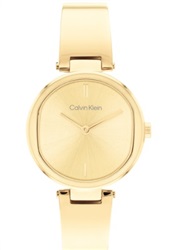 Calvin Klein CK25200309, золотистые мужские часы