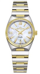 Roche Montre RML5001-02 мужские часы, серебристо-золотистые