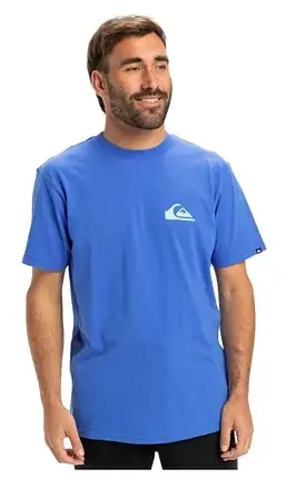 Quiksilver Ev Mini Logo SS men's T-shirt