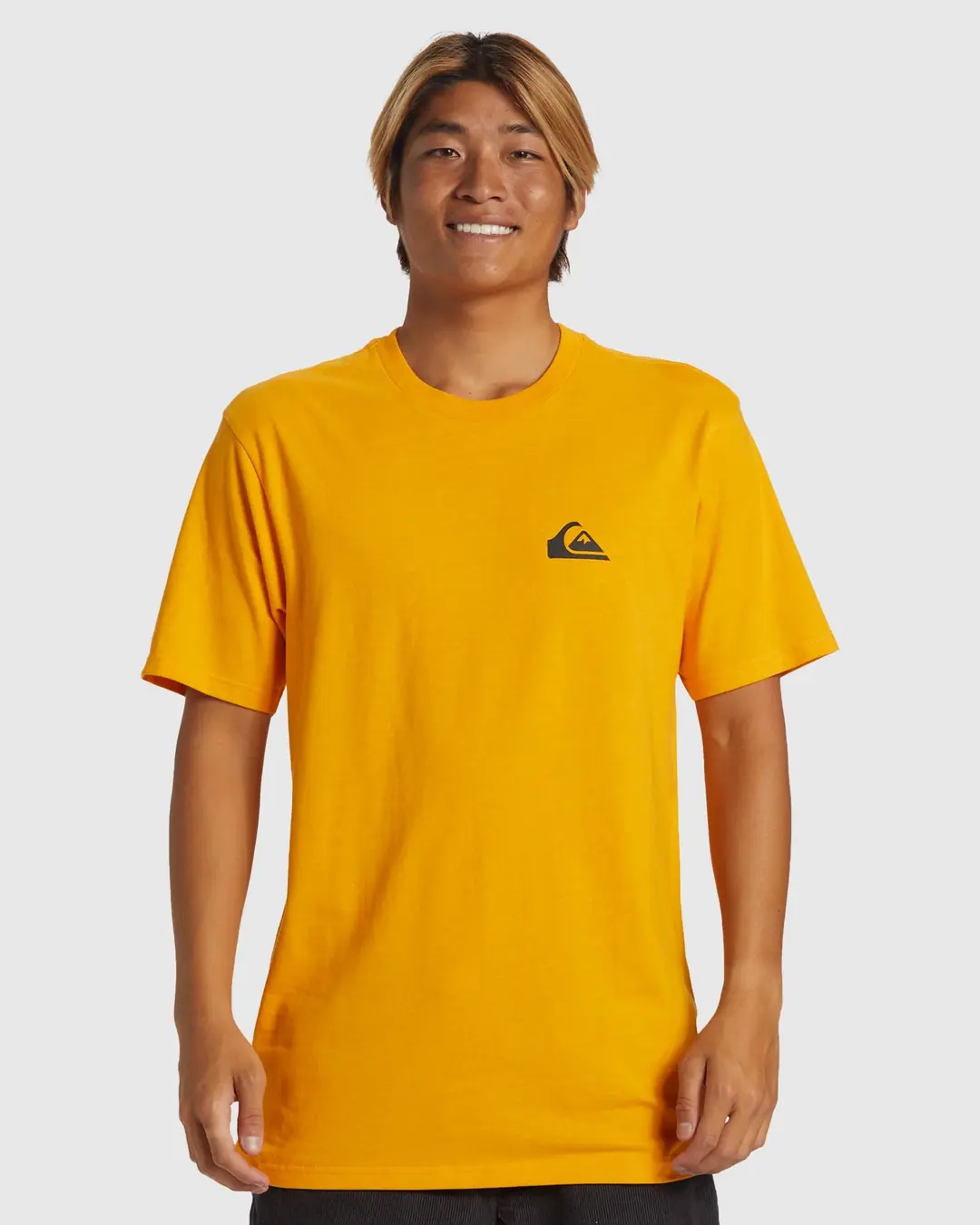 Quiksilver QS Comp Logo DNA