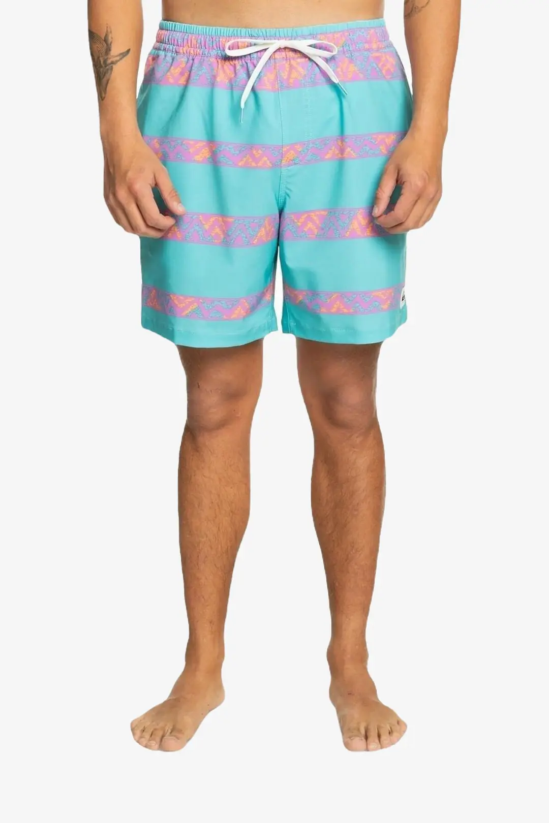Quiksilver Take Us Back VL 17 Men's Shorts