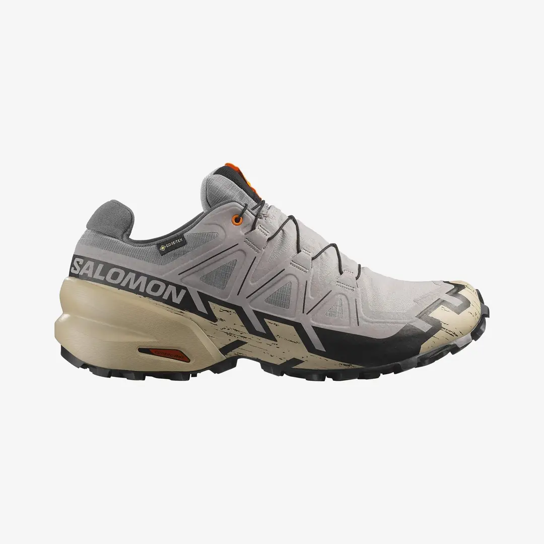 Salomon Speedcross 6 GTX Men's Shoes